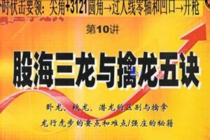 【黑马王子】量学擒龙涨停特训班 2021年7月 中级特训班 音频+讲义