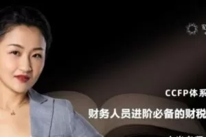 安财论道 CCFP体系财务人员进阶必备的财税手册