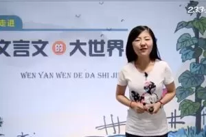233网校-王雨洁 走进文言文的大世界