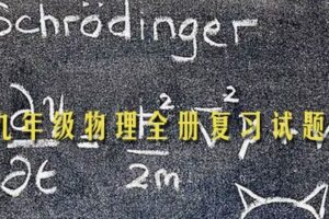 九年级物理全册 新人教专题复习试题