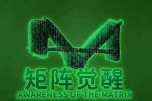 真爱之门狮狮《矩阵觉醒》社交提升课程