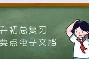 小升初总复习知识要点电子文档