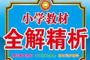 小学教材全解精析人教版 1~6年级数学下册