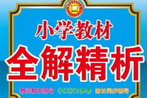 小学教材全解精析人教版 1~6年级数学下册