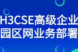 H3CSE高级企业园区网业务部署