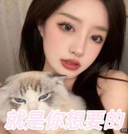 微信交友变现项目,吸引全网LSP男粉精准变现,小白也能轻松上手,日入500+
