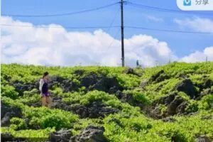 【捐赠[红包]49.99·《AL3093-HUGEdu-HUGE丨托福口语线上训练营》】