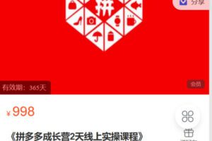 【捐赠[红包]19.90·《C0685-秋秋漫画电商-《拼多多成长营2天线上实操课程》》】