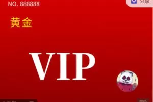 【捐赠[红包]99.00·《C0700-黄金VIP》】