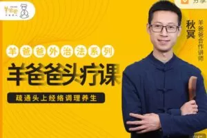 【捐赠[红包]9.99·《AL2749-羊爸爸中医育儿-头疗课》】