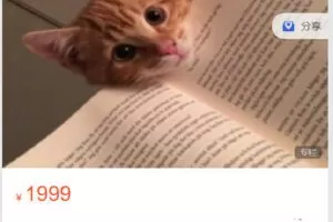 【捐赠[红包]19.90·《C0610-轻松冥想-学霸猫–心灵好书，为你精读（第一季）》】