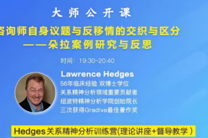 Hedges详解针对4种不同发展水平来访的关系精神分析透视法