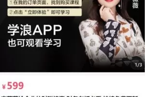 【捐赠[红包]48.90·《AL5139-李薇薇给企业的财税锦囊 财务老板必看》】