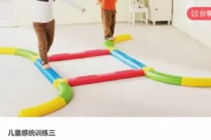 【46[红包]·S6386儿童感统训练三】