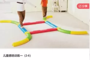 【46[红包]·S6380儿童感统训练一（2-6）】