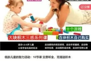 【80[红包]·S6361低龄儿童的智力活动：10节课 交费听全，无赠送积木】