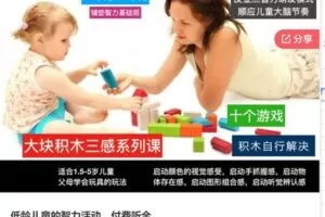 【26[红包]·S6461低龄儿童的智力活动，付费听全】