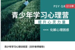【29[红包]·S6413青少年学习心理训练营（文轩老师辅导）】