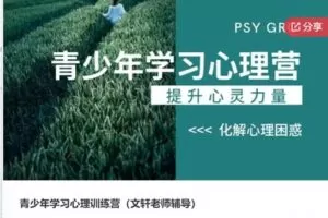 【29[红包]·S6413青少年学习心理训练营（文轩老师辅导）】