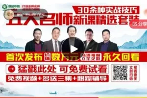 【29[红包]·S731130余种实战技巧-引火归元、循穴诊病、颅顶激活、四型减肥、面部提升】