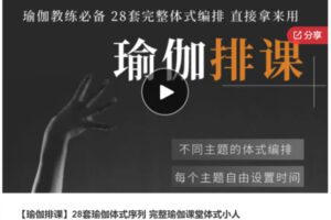 【22[红包]·S6999【瑜伽排课】28套瑜伽体式序列 完整瑜伽课堂体式小人】