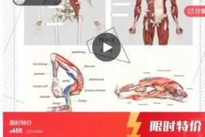 【19[红包]·S6981Chris王剑老师2018瑜伽与解剖（A）39课】