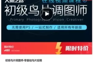 【20[红包]·S7487初级鸟片调图师-零基础鸟片后期】