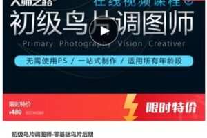 【20[红包]·S7487初级鸟片调图师-零基础鸟片后期】