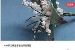 【19[红包]·S7465木末手工课堂零基础课程花型】