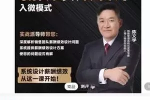 【69[红包]·S7875销售团队薪酬绩效设计-入微模式.入微咨询.35节】