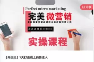 【12[红包]·S7493【升级班】5天打造线上销售达人】