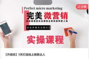 【12[红包]·S7493【升级班】5天打造线上销售达人】