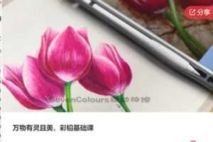 【12[红包]·S7714万物有灵且美，彩铅基础课】