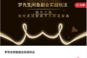 【20[红包]·S7704梦先生闲鱼副业实战玩法】