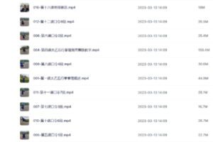 【易学上新】048.长安师智-武当太乙五行拳详细版课程16课时