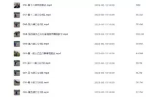 【易学上新】048.长安师智-武当太乙五行拳详细版课程16课时