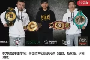 【19[红包]·S7984拳力联盟拳击学院：拳击技术初级系列课（洛教、杨永强、伊利夏提）】