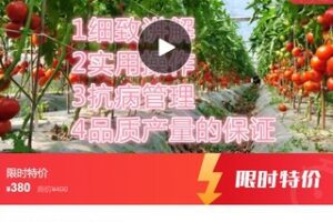 【19[红包]·S7982夏连红-夏氏脐针治疗妇科病及疑难病特效治疗技术研修班】