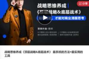 【69[红包]·F0040战略思维养成《顶层战略&底层战术》 最系统的方法+最实用的工具】