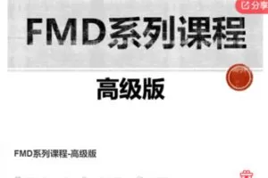 【28[红包]·F0167FMD系列课程-高级版】
