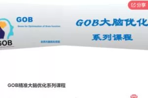 【39[红包]·F0095GOB精准大脑优化系列课程】