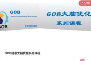 【39[红包]·F0095GOB精准大脑优化系列课程】