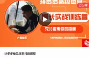 【59[红包]·F0112拼多多单品爆款打造课程】