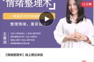 【19[红包]·F0252【情绪整理术】线上理论体验】