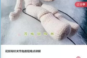 【29[红包]·F0414花妖钩针关节兔教程难点讲解】