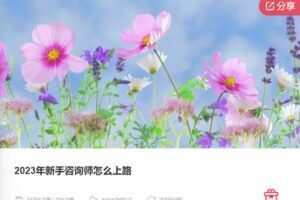 【35[红包]·F0369.2023年新手咨询师怎么上路】