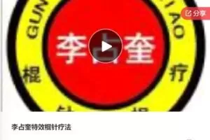 【19[红包]·F0530李占奎特效棍针疗法】