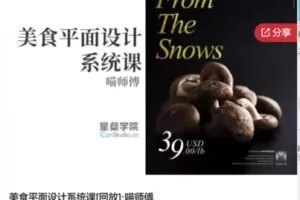 【28[红包]·F0511美食平面设计系统课[回放]·喵师傅】