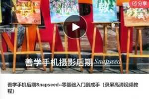 【18[红包]·F0503善学手机后期Snapseed–零基础入门到成手（录屏高清视频教程）】