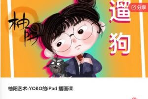 【26[红包]·F0458柚阳艺术-YOKO的iPad 插画课】